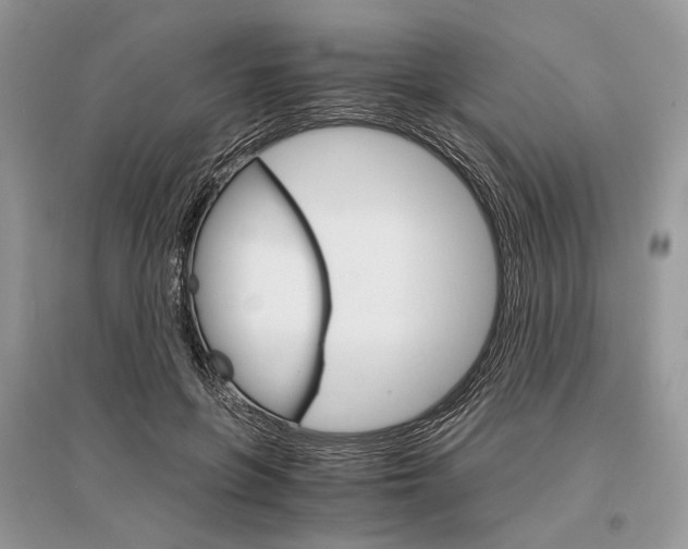 X0000096480551200801241149