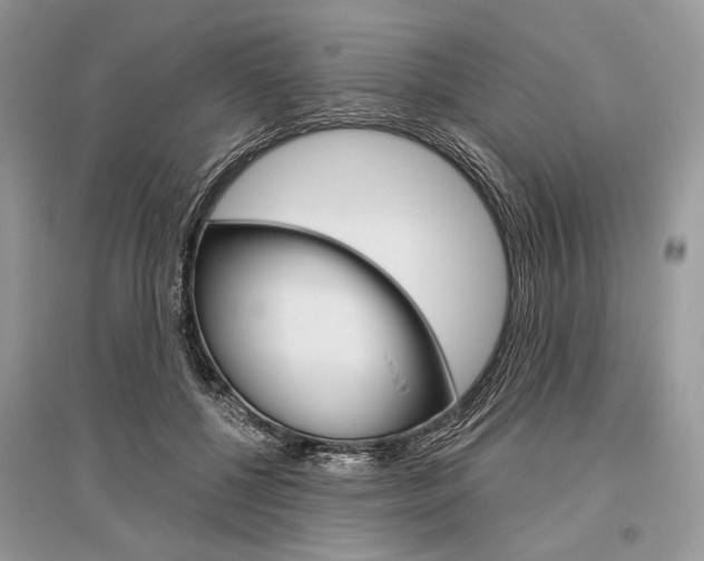 X0000096480552200801241149