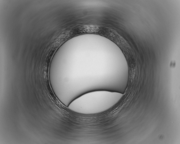 X0000096480553200801241149