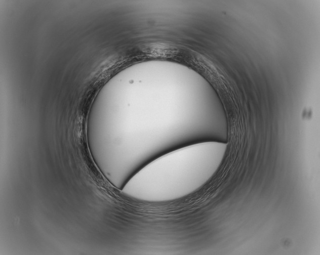 X0000096480554200801241149