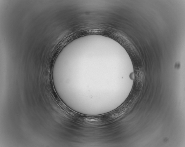 X0000096480557200801241149