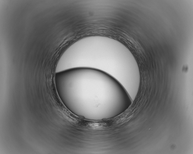 X0000096480558200801241149