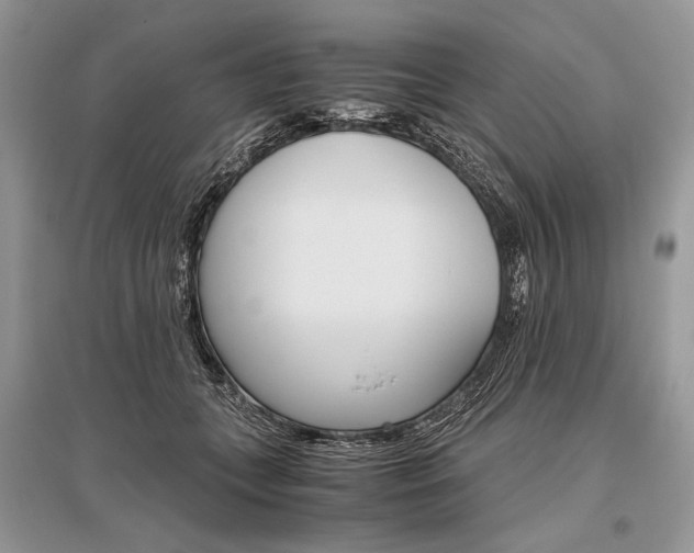 X0000096480559200801241149