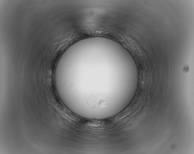 X0000096480563200801241149