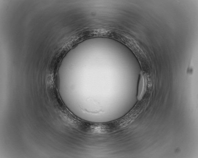 X0000096480564200801241149