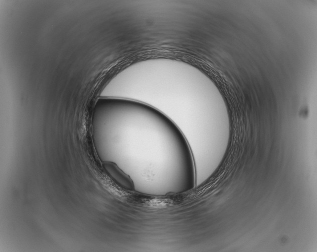 X0000096480566200801241149