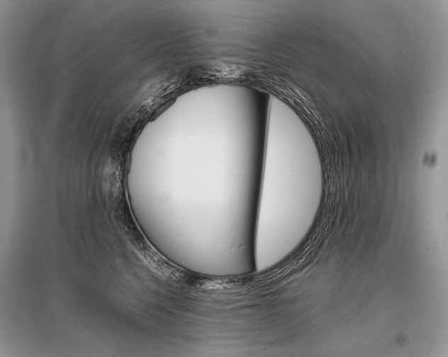 X0000096480568200801241149