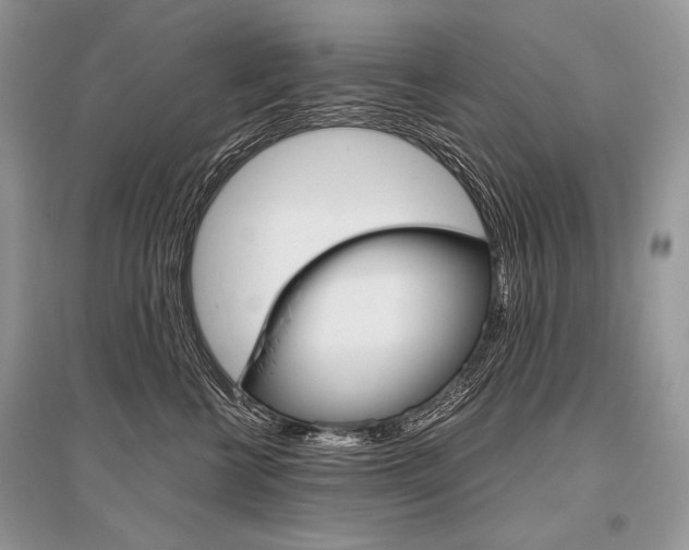 X0000096480570200801241149