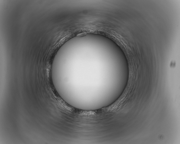 X0000096480576200801241149