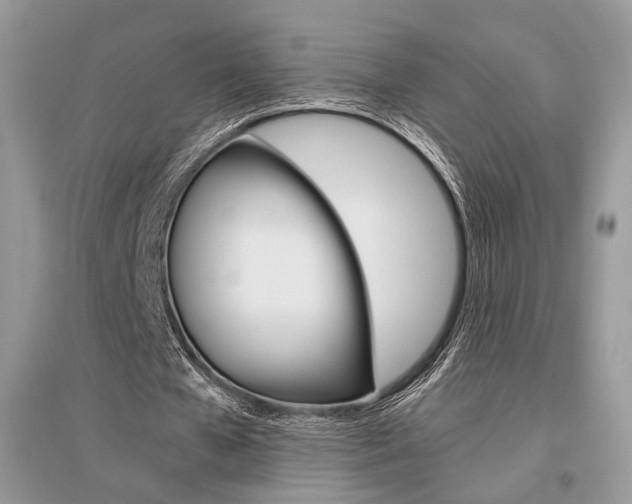 X0000096480577200801241149