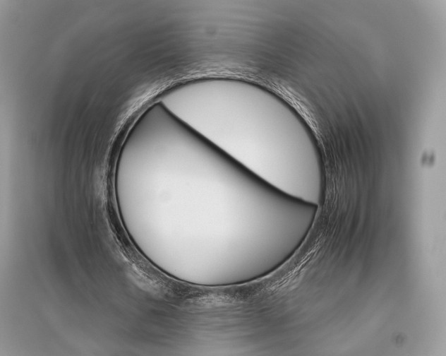 X0000096480578200801241149
