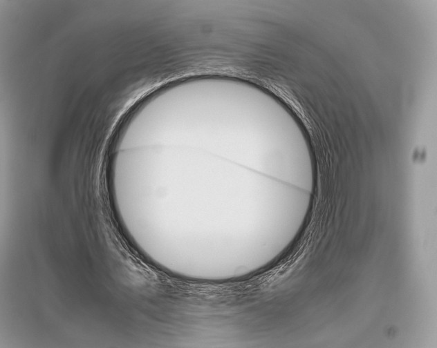 X0000096480579200801241149