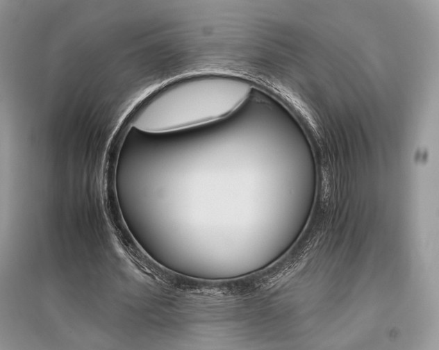 X0000096480580200801241149