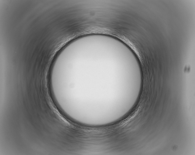 X0000096480581200801241149