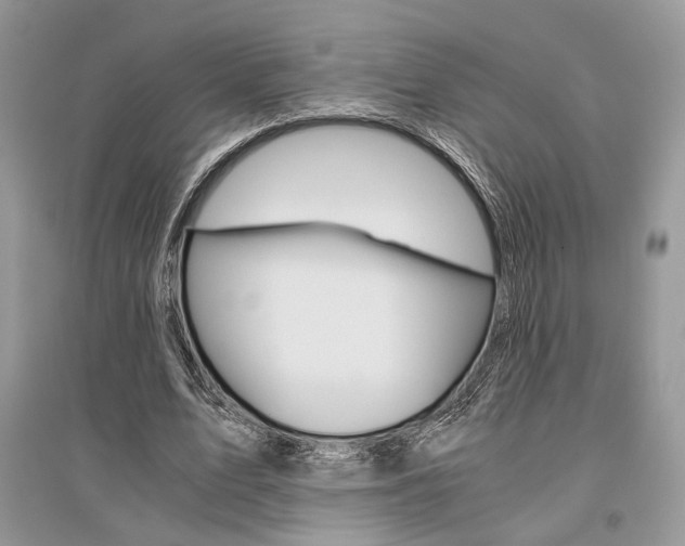 X0000096480583200801241149