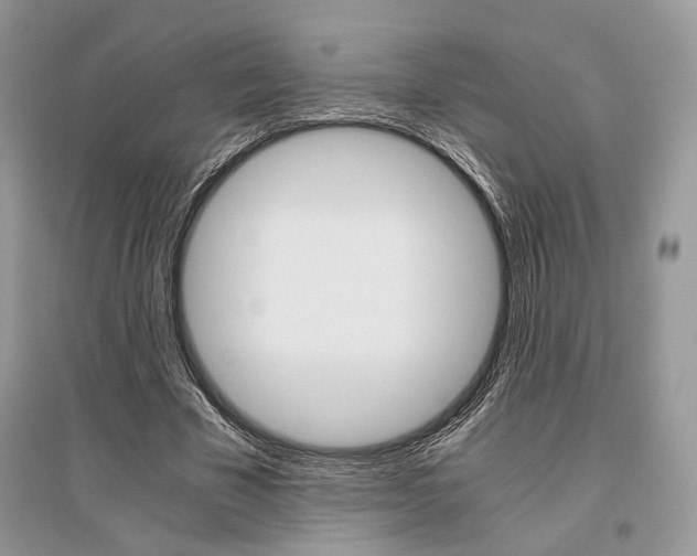 X0000096480585200801241149