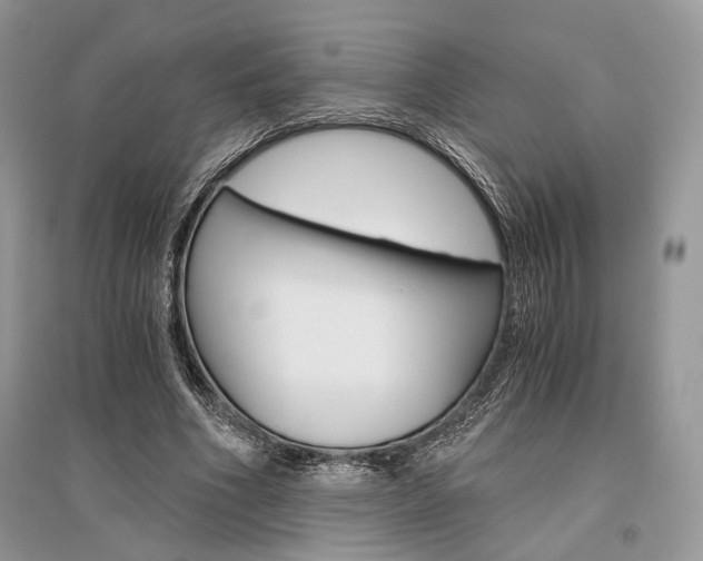 X0000096480586200801241149