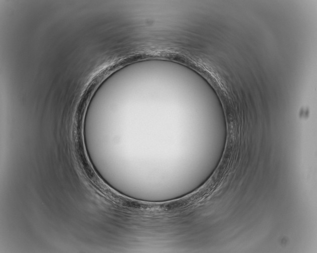 X0000096480587200801241149