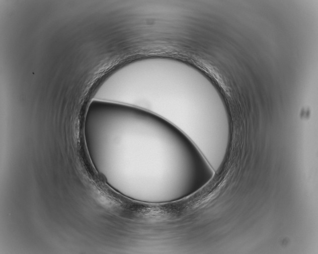 X0000096480589200801241149