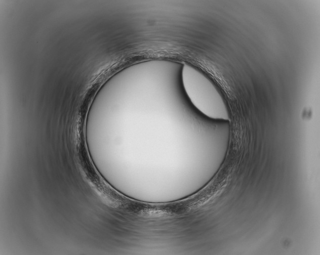 X0000096480590200801241149