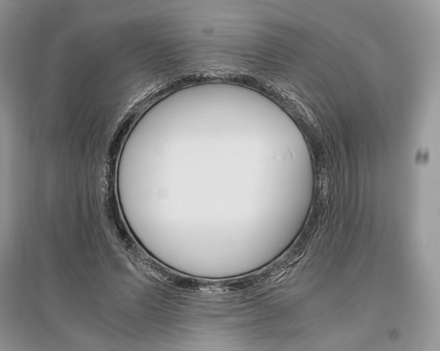 X0000096480591200801241149