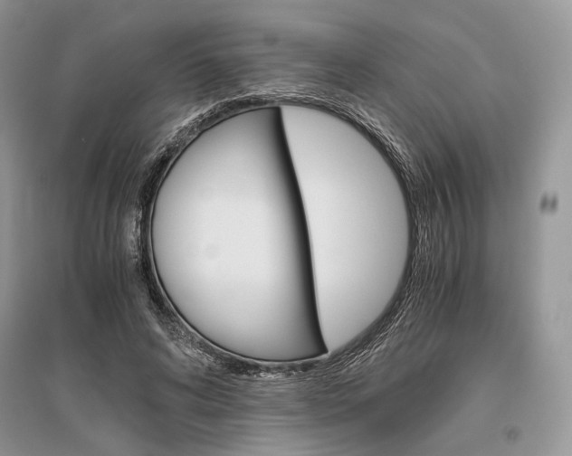 X0000096480592200801241149