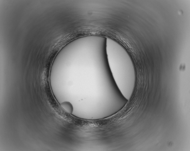 X0000096480594200801241148
