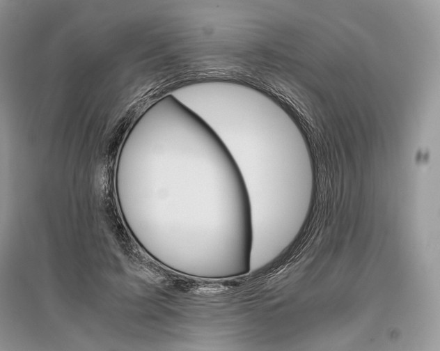 X0000096480595200801241148