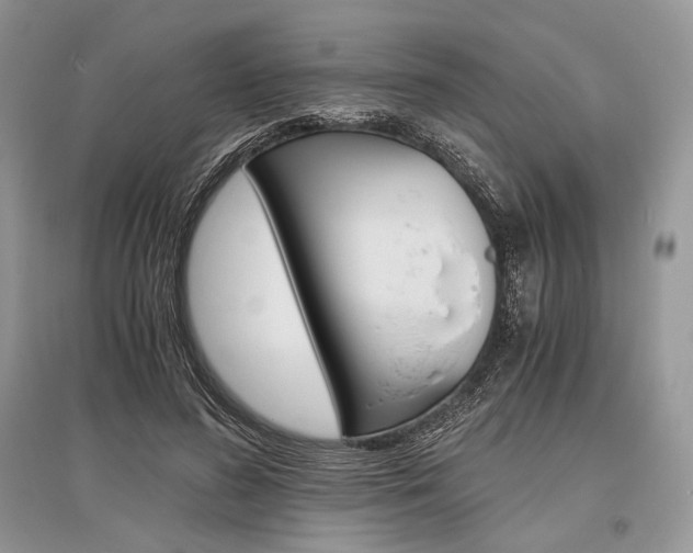 X0000096480596200801241148