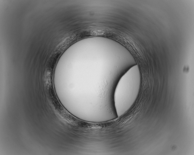 X0000096480598200801241148