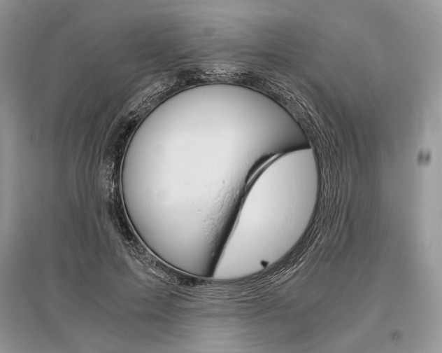X0000096480599200801241148
