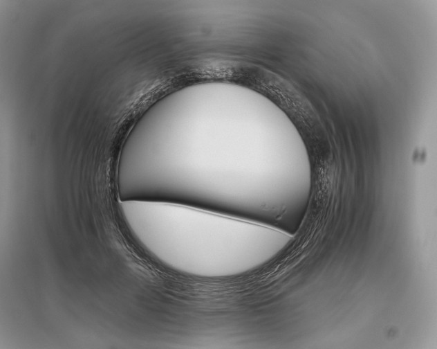 X0000096480600200801241148