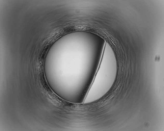 X0000096480601200801241148
