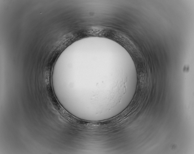 X0000096480602200801241148