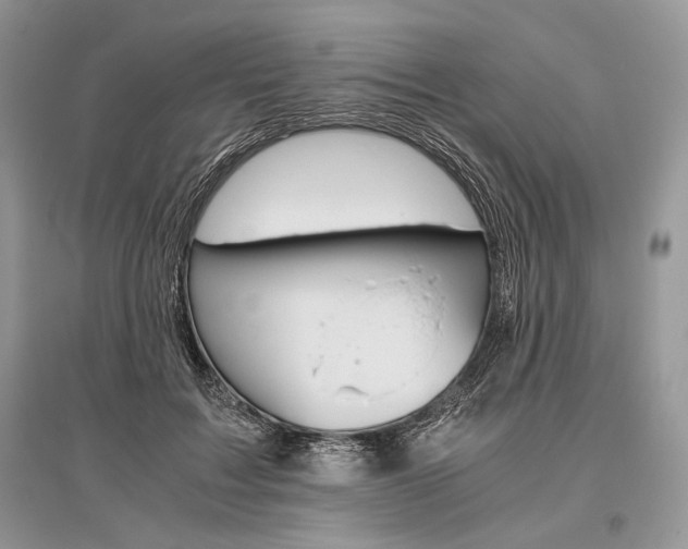 X0000096480603200801241148