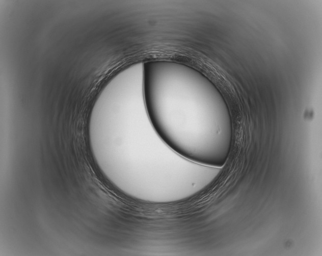 X0000096480604200801241148
