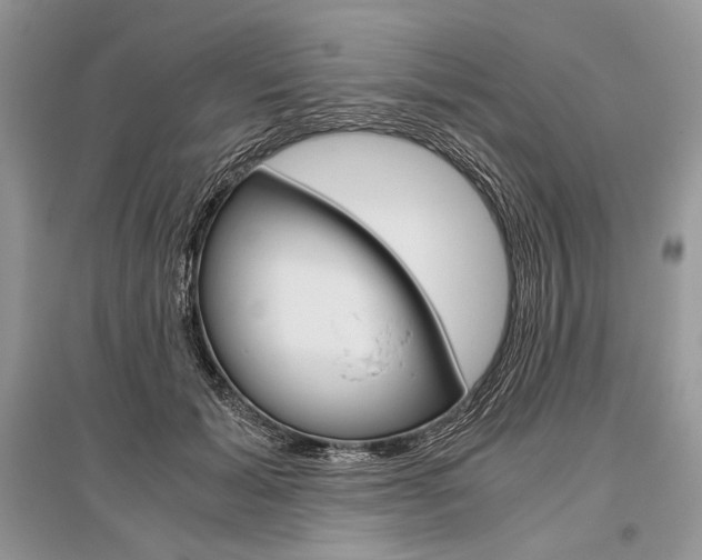 X0000096480605200801241148