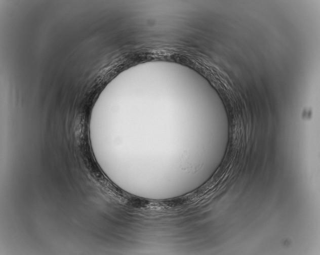 X0000096480608200801241148