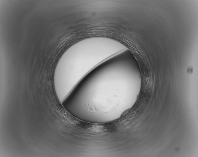 X0000096480609200801241148