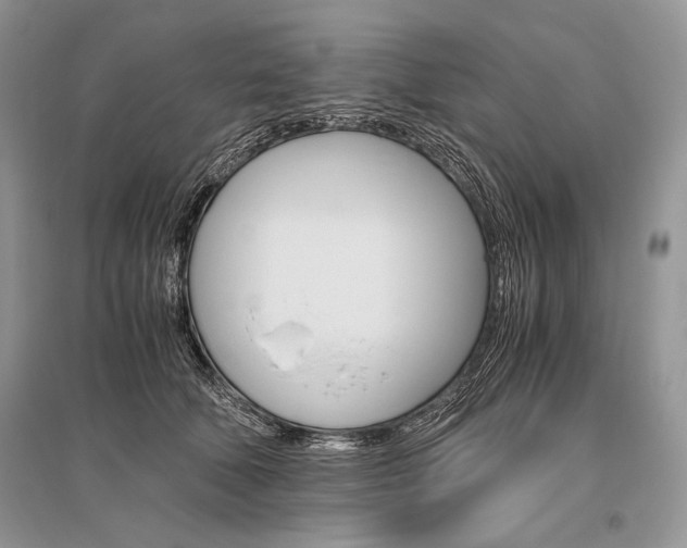 X0000096480610200801241148