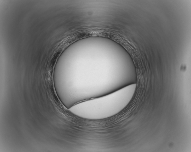 X0000096480611200801241148