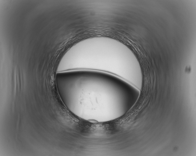 X0000096480613200801241148