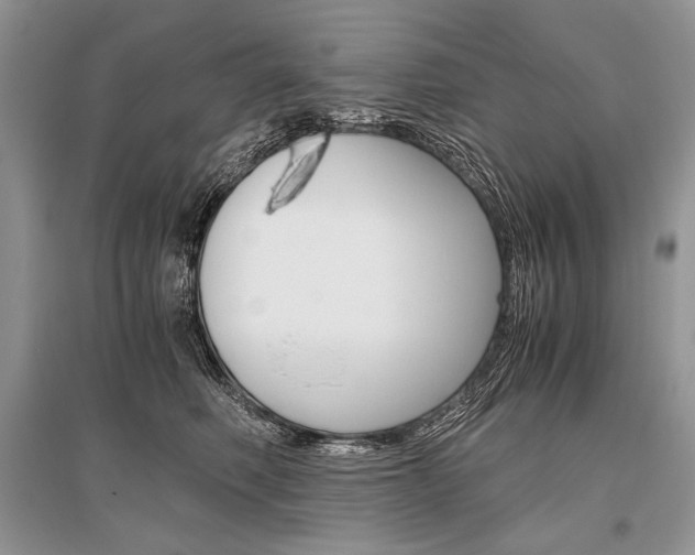 X0000096480614200801241148