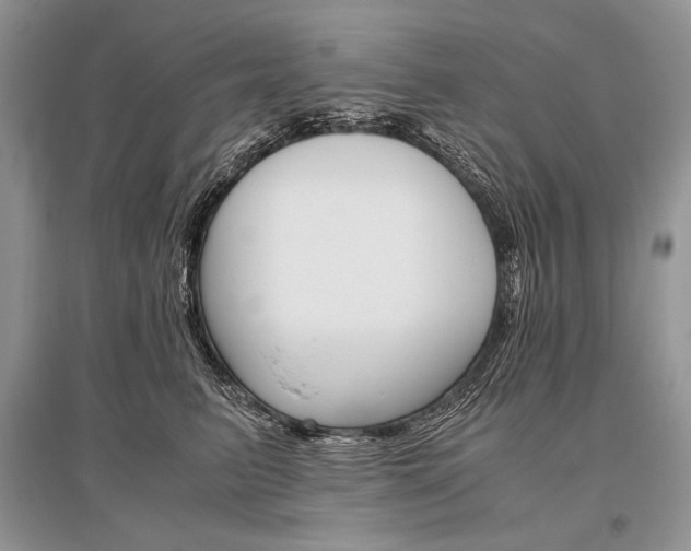 X0000096480615200801241148