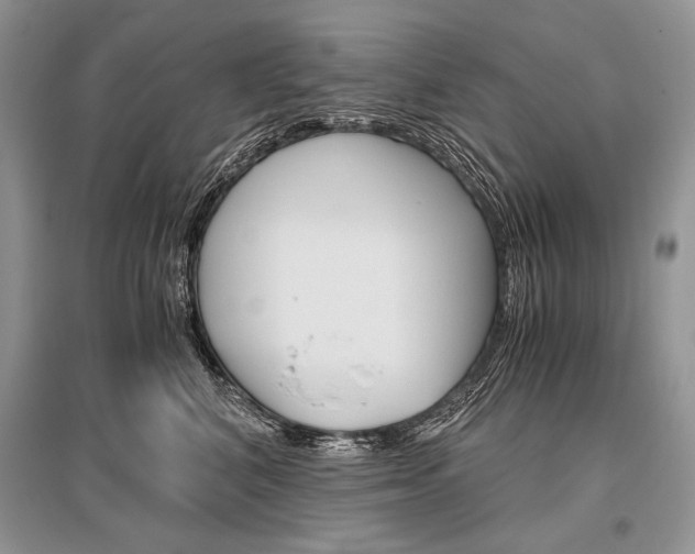 X0000096480616200801241148