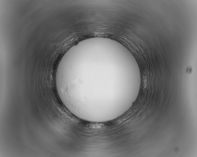 X0000096480618200801241148