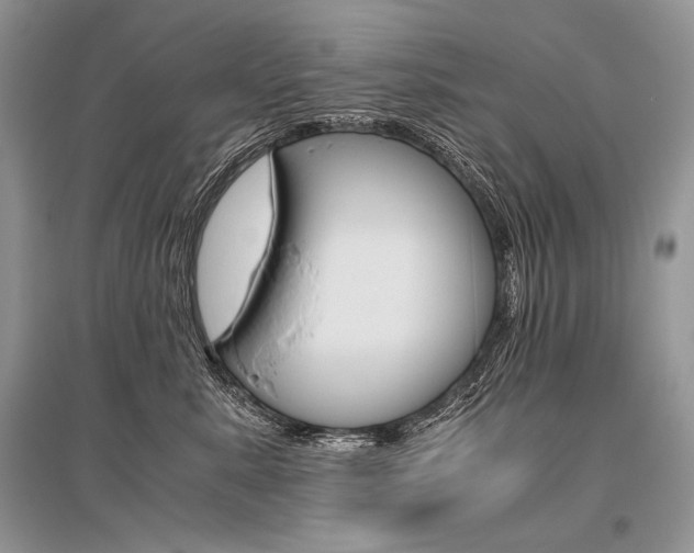 X0000096480619200801241148