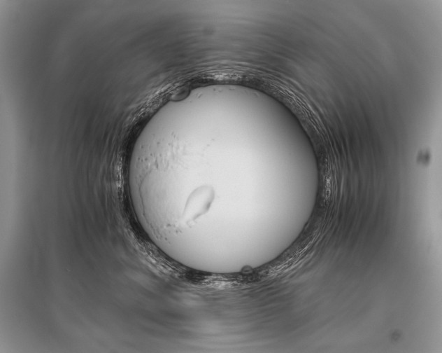 X0000096480620200801241148