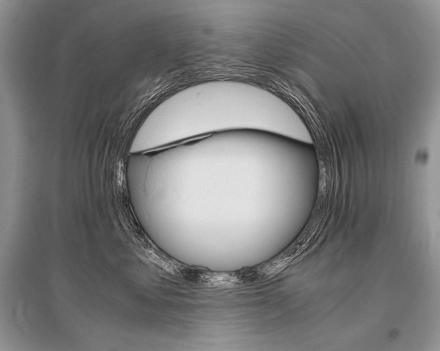 X0000096480621200801241148
