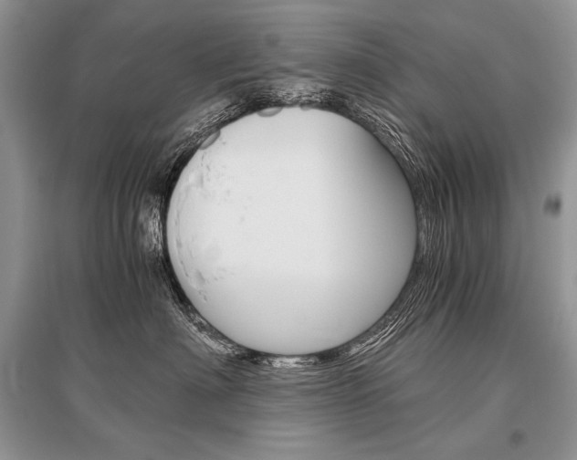 X0000096480622200801241148